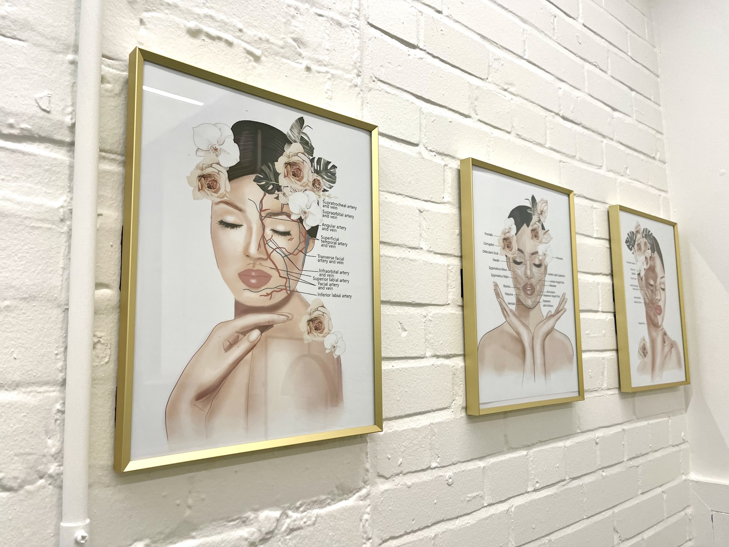Three gold-framed line-art prints of faces on white painted brick — Defined Skin Spa's signature wall motif